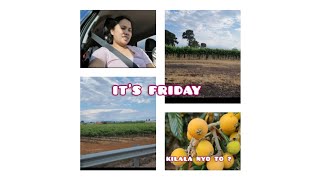 Friday vlog Going to Monash SA titingin ng kotse spring month [upl. by Odeen]