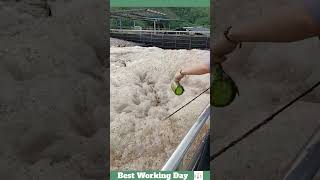 Best working day 1699 Wastewater treatment process with defoamer [upl. by Server725]