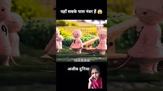 नंबरों वाली दुनियां 🌍 jadui jaduikahaniya jaduicartoon magic cartoon funny love numbers [upl. by Darsie620]