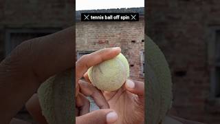 off spin 🥎 shorts offspin shortsfeed tennisball youtubeshorts shortvideo [upl. by Vanni404]