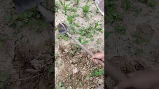 Hand hoe  Soil Trenching spade  Shovel [upl. by Jorrie]