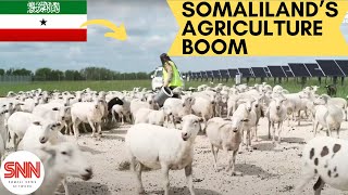 Somaliland Oil and Agriculture expansion projects plans for 2023 [upl. by Nathanial]