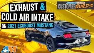 2021 EcoBoost Mustang w Borla ATAK Exhaust amp Roush Cold Air Intake  AmericanMuscle Customer Builds [upl. by Alyakcim960]