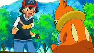 Pokemon AMV BuizelFighting [upl. by Bahner]