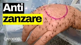 Quali antizanzare funzionano meglio Zampironi spray analizziamoli dal punto di vista chimico [upl. by Nnire]