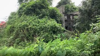 Old Lady Cleaning Abandoned House 30 Year Overgrown  Cut Overgrown Grass Front Yard [upl. by Gnas]