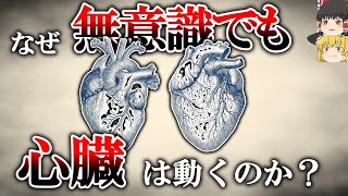 【疑問】なぜ人は無意識でも生き続けられるのか【ゆっくり解説・雑学】 [upl. by Calysta]