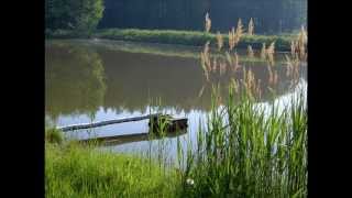 Naturgeräusche am Waldweiher [upl. by Ajiak]