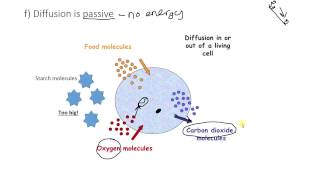 Diffusion is passive [upl. by Ahsii798]