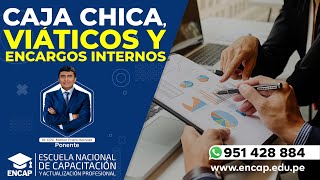 CURSO CAJA CHICA VIÁTICOS Y ENCARGOS INTERNOS [upl. by Anahsor]