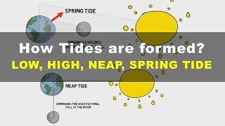 How Tides are Formed  Low High Neap Spring Tide  Geography UPSC IAS [upl. by Nagrom]