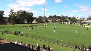 Chulu Johnson 2023 WA NPL U18s season showreel [upl. by Eimat]