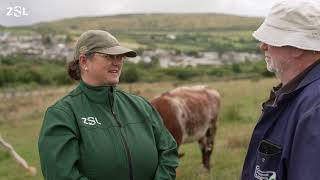 Farmerled badger vaccination revolutionising mission to tackle bovine TB [upl. by Nwatna358]