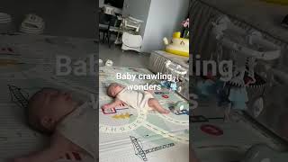 Which of the crawling styles do you prefer babies crawling cute funny baby [upl. by Malo74]