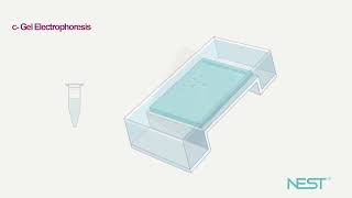 Lab Reagent Loading Buffer [upl. by Bushweller]