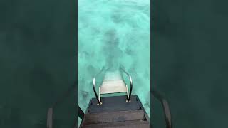 grand park kodhipparu maldives lagoon water villa [upl. by Weisler]