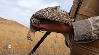 Hunting Sharptailed Grouse in Northern Utah [upl. by Htiaf]