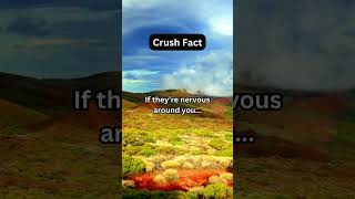 Crush Fact Nervous Around You They Care What You Think 💓shortvideo crushfacts youtubeshorts [upl. by Giarla]