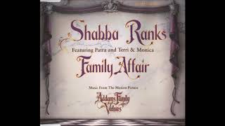 SHABBA RANKS  Family Affair Old School Retro Mix [upl. by Kifar]