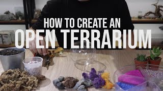 How to build an Open Succulent Terrarium [upl. by Stultz]