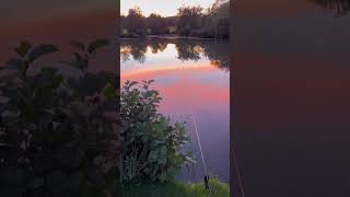 Incredible view 🤩 fishing carping carpingwithchris snidetackle nature trending carpy [upl. by Nennahs]