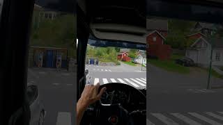 KAMYONUN GENİŞLİĞİNDE KÖPRÜDEN GEÇMEK norveç doğa manzara kamyon tır gerçekler ets2 [upl. by Ttehc]