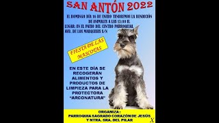 LINARES  Jaén  San Antón 2022 [upl. by Marji165]