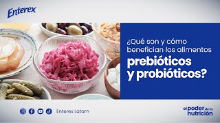 ¿Cómo benefician los alimentos prebióticos y probióticos MEX [upl. by Anurb580]