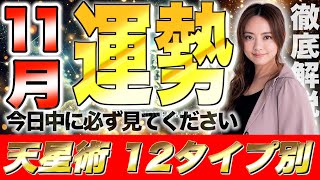 【星ひとみ】2024年11月の運勢を徹底解説！天星術占い12タイプ別！ [upl. by Abisia]