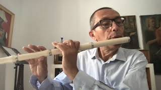 tutorial 9 for baroque flute [upl. by Netsuj]