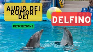 Audio dei rumori dei delfini  descrizione 🐬 Suoni del fischio del delfino 🐬 🔈 [upl. by Ettigirb636]