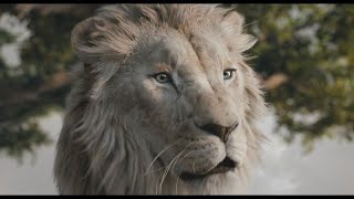 Disney’s Mufasa The Lion King  Fight With Me  In Cinemas Now [upl. by Christan]