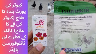 Kabutar ki Har kisam porte band or pigeon vomiting treatment ka ilaj Colic drops or Tylofurcin [upl. by Westney]