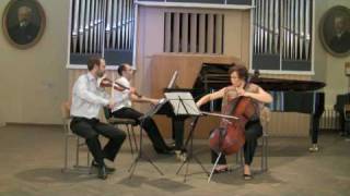 Schubert Piano Trio op 100 Andante con moto [upl. by Mya]