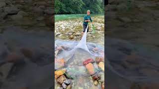 A lot of fish in one net 一网撒下去好多鱼 rurallife outdoors fishfood fishtrip Xiaomei fishingfun [upl. by Gonick]