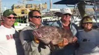 Rocky Point Fishing Pinto Bass JUST ADD SALTWATER [upl. by Amilas]