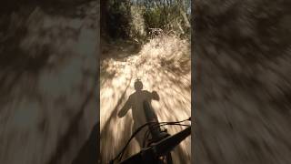 MTB GMR East  Propain Tyee [upl. by Briny]