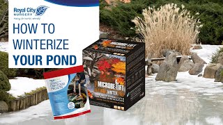 HOW TO WINTERIZE YOUR POND ❄️ [upl. by Kinnon]