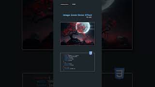CSS Image Zoom Hover Effect [upl. by Ahcropal710]
