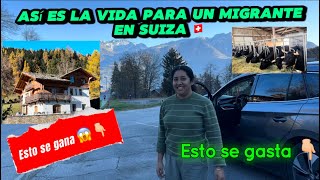 Así es la vida para un inmigrante en Suiza  esto se gana en 2024 😱 y esto se gasta 👇 [upl. by Arualana844]