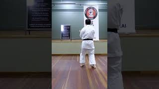 SANCHIN KATA GOJU RYU KARATE by Davy Wijaya Sensei [upl. by Arramas361]