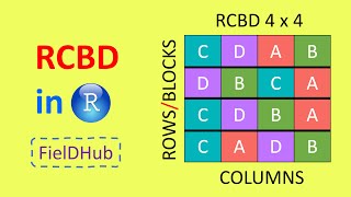 Create randomized complete block design RCBD in R using FieldHub [upl. by Poppy981]