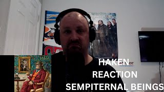 Haken REACTION Sempiternal Beings quotTalking New Metal Musicquot [upl. by Notanhoj]