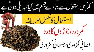 KamarKas Ke Fayde How To Use Kamarkas  KamarKas Benefits in UrduHindi Kamar Kass ki Barfi recipe [upl. by Lazar]