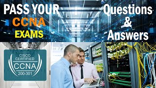 CCNA 2 v7 Modules 5 – 6 Redundant Networks Exam Answers [upl. by Buroker]