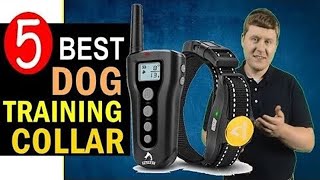 Best Dog Training Collar 20232024 🏆 Top 5 Best Dog Training Collars Reviews [upl. by Aerdnaed]