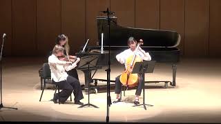 3  Piano Trio No 1 in Dm Op 49  Mendelssohn [upl. by Dez934]