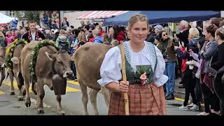 Entlebucher Alpabfahrt 2023 Schüpfheim LU Schweiz [upl. by Ulah386]