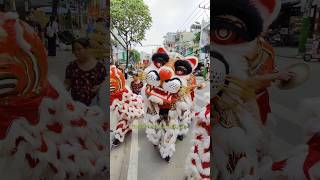 Cọp Xuống Phố mualanhay liondance mualan mualanongdia bibitv tonytv skibiditoilet [upl. by Davy]