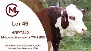 Lot 46 Mawarra Wentworth T342 PP [upl. by Normie933]